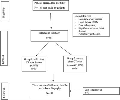 Mid-term subclinical myocardial injury detection in patients who recovered from COVID-19 according to pulmonary lesion severity